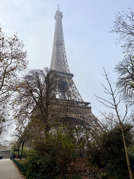 Jackson Rodriguez — A misty, low-angle view of the Eiffel Tower rising above leafless trees, giving the scene a quiet, atmospheric feel.