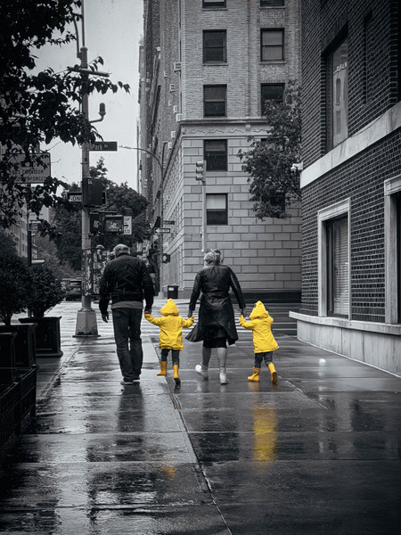 Collection 105 photo by Jennifer Newitt