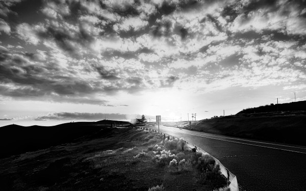 Collection 105 photo by Corina Balan
