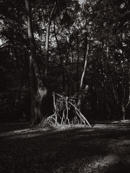 Collection 107 photo by Adam Brown