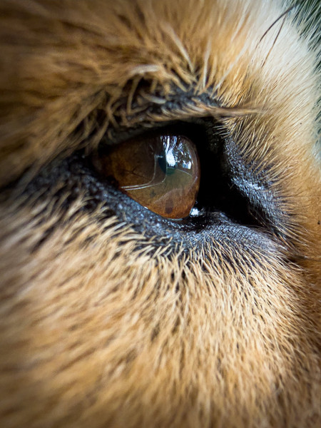 Collection 108 photo by Angel Chen