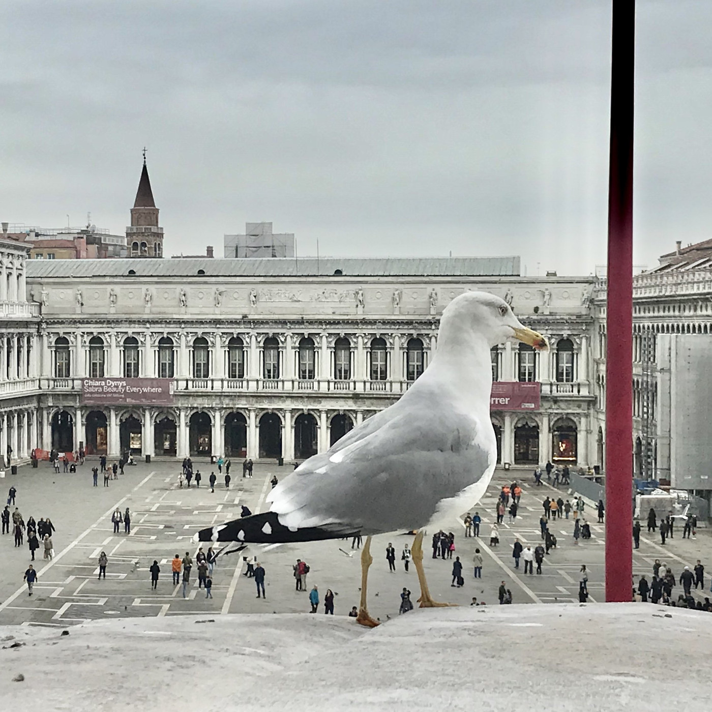 Collection 27 photo by Maurizio Zanetti