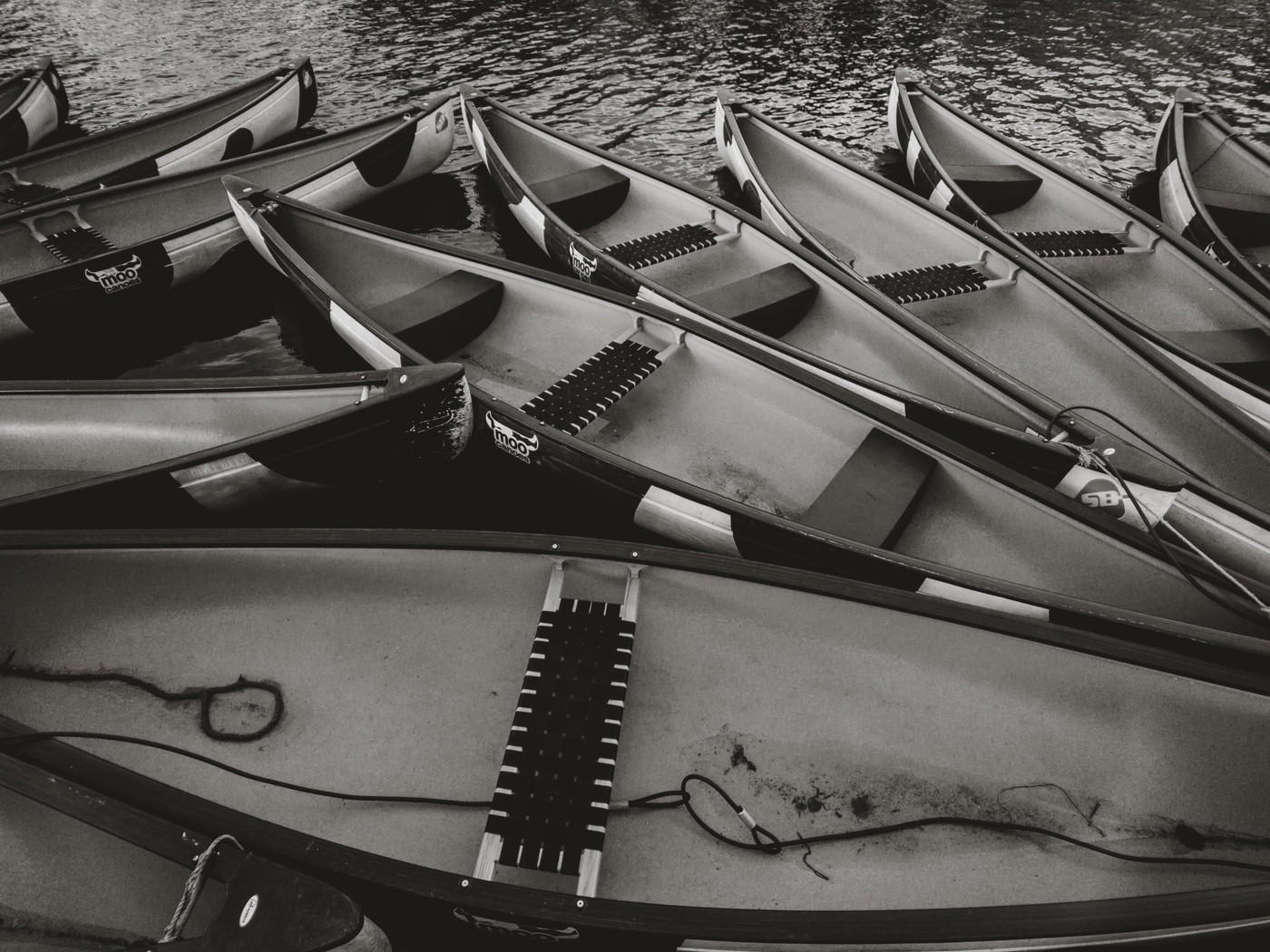 Collection 14 photo by Marco Borghesi