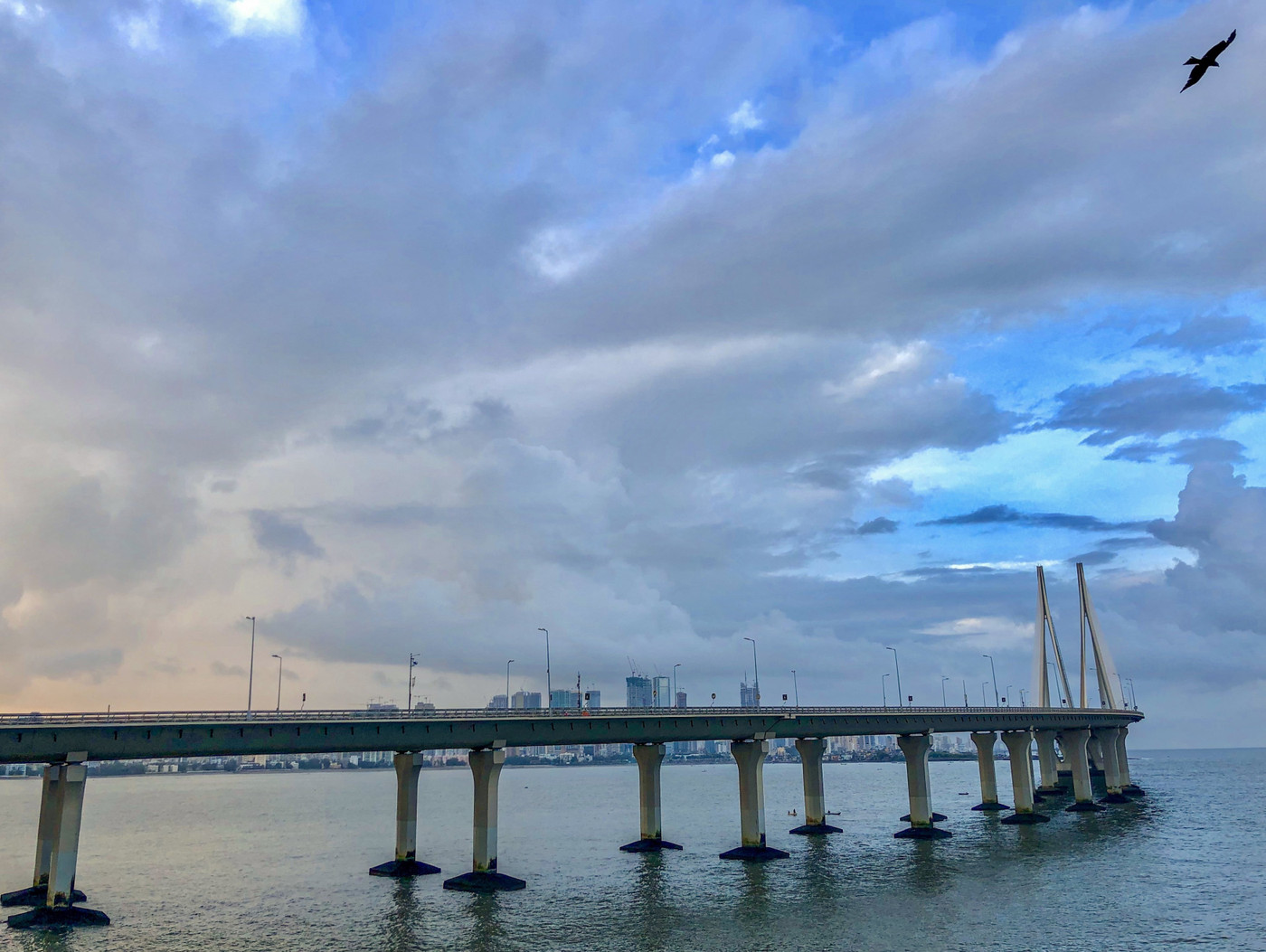 Collection 24 photo by Bhupendra Bagla