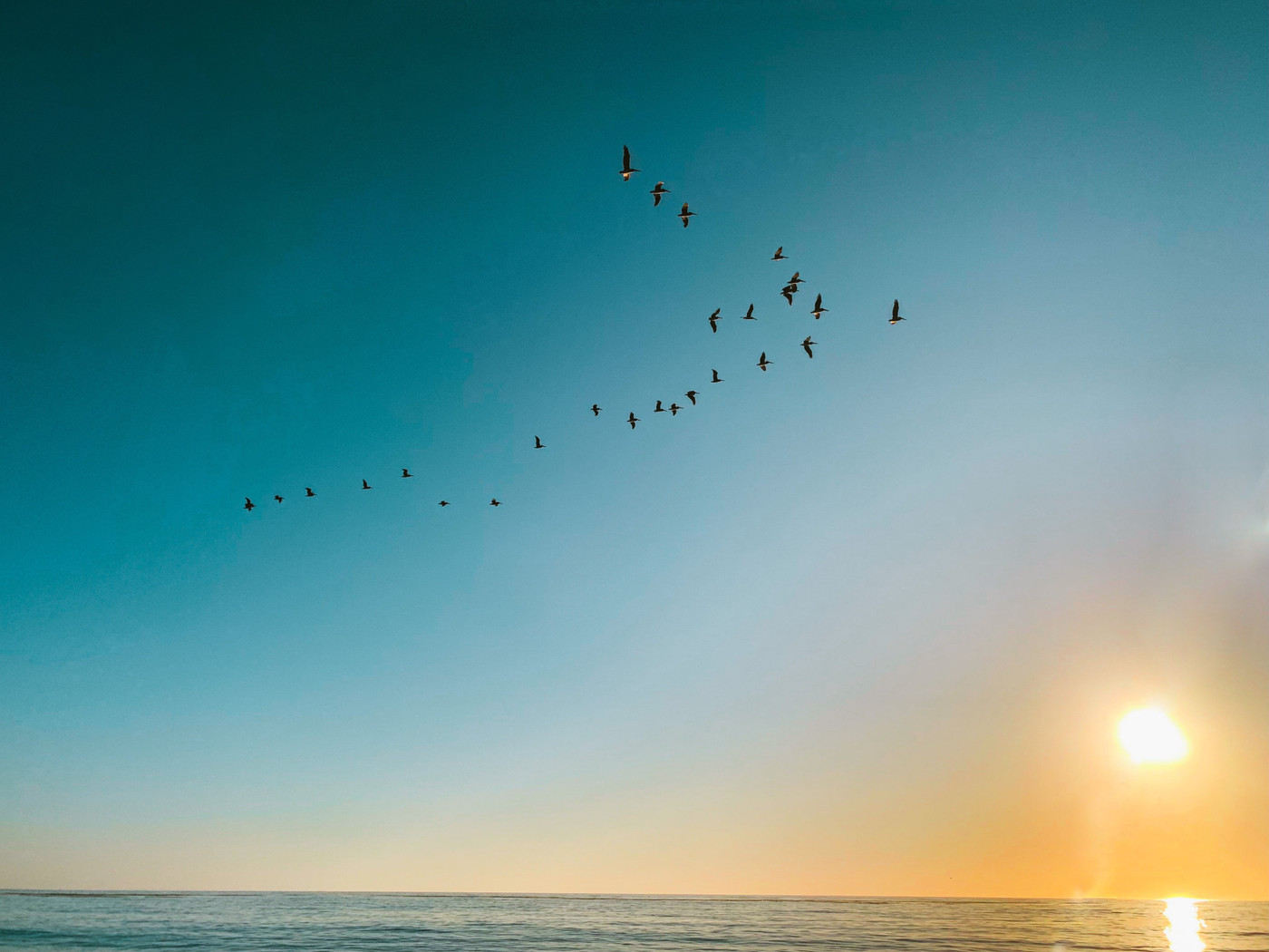 Collection 25 photo by Utsha Guha