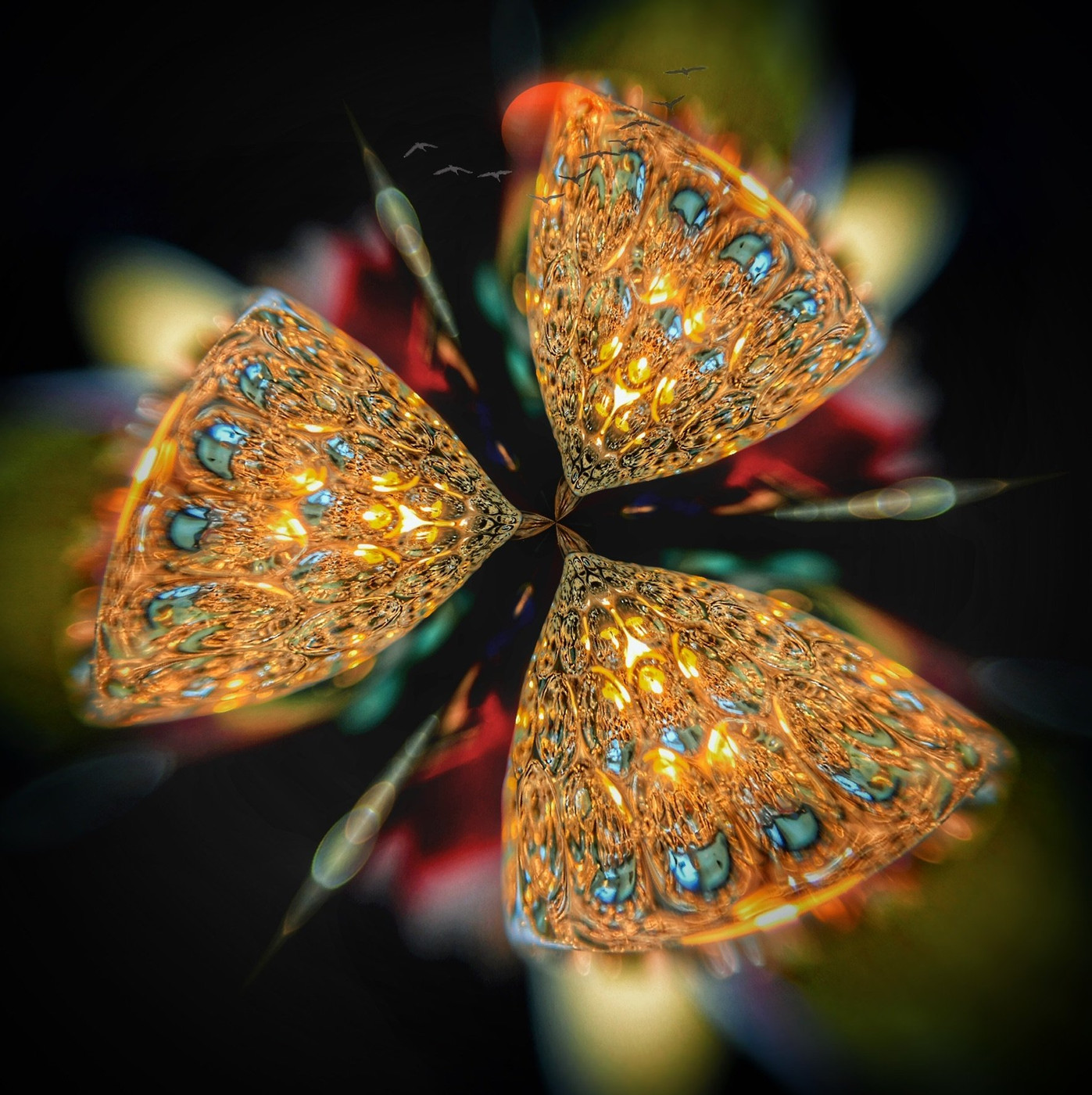 Collection 35 photo by Naveen Aggarwal