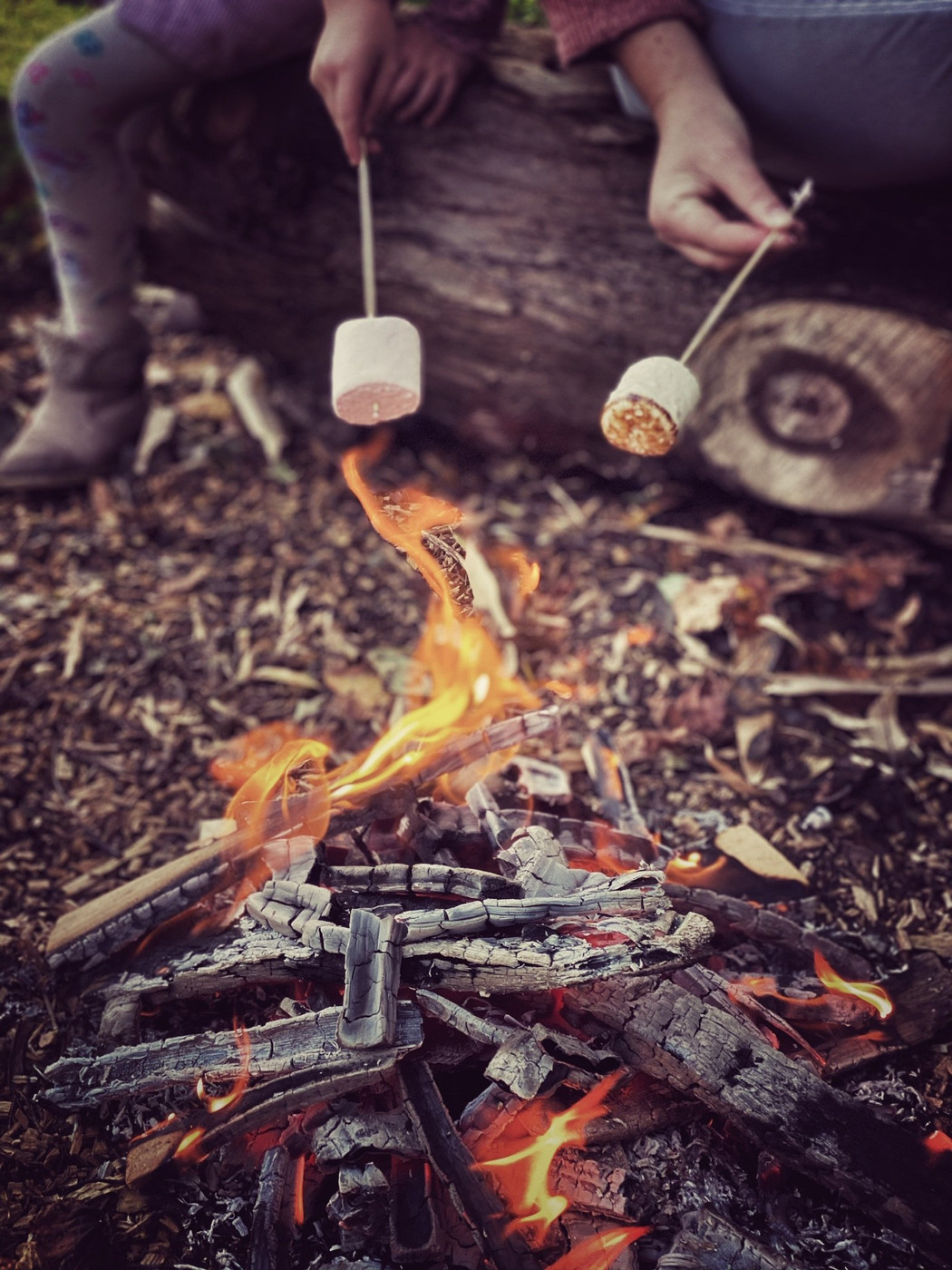 Collection 39 photo by Abbie Asadi
