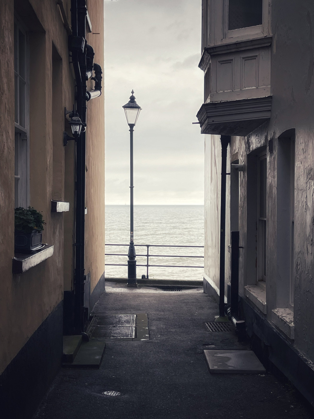 Collection 48 photo by Abbie Asadi