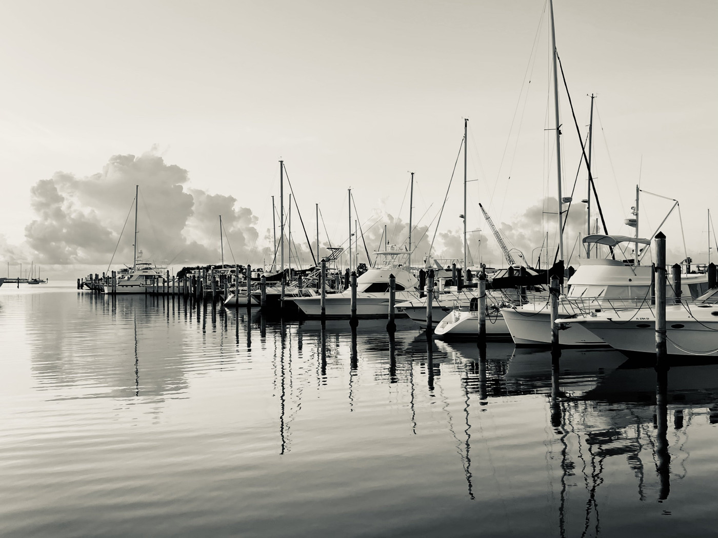 Collection 49 photo by Haydee Romero