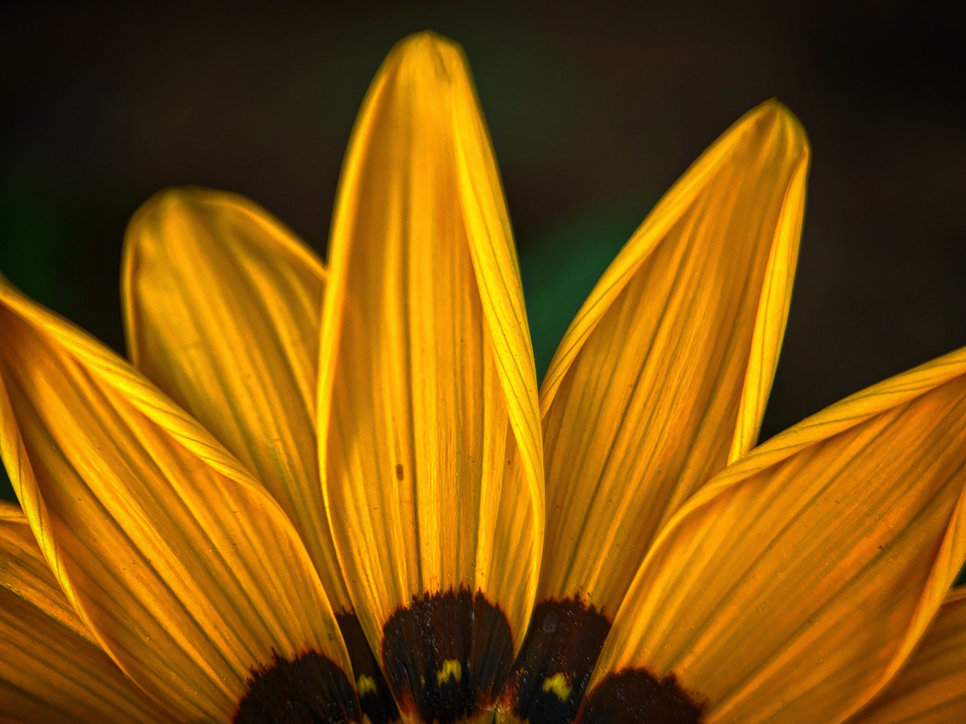Collection 51 photo by Naveen Aggarwal