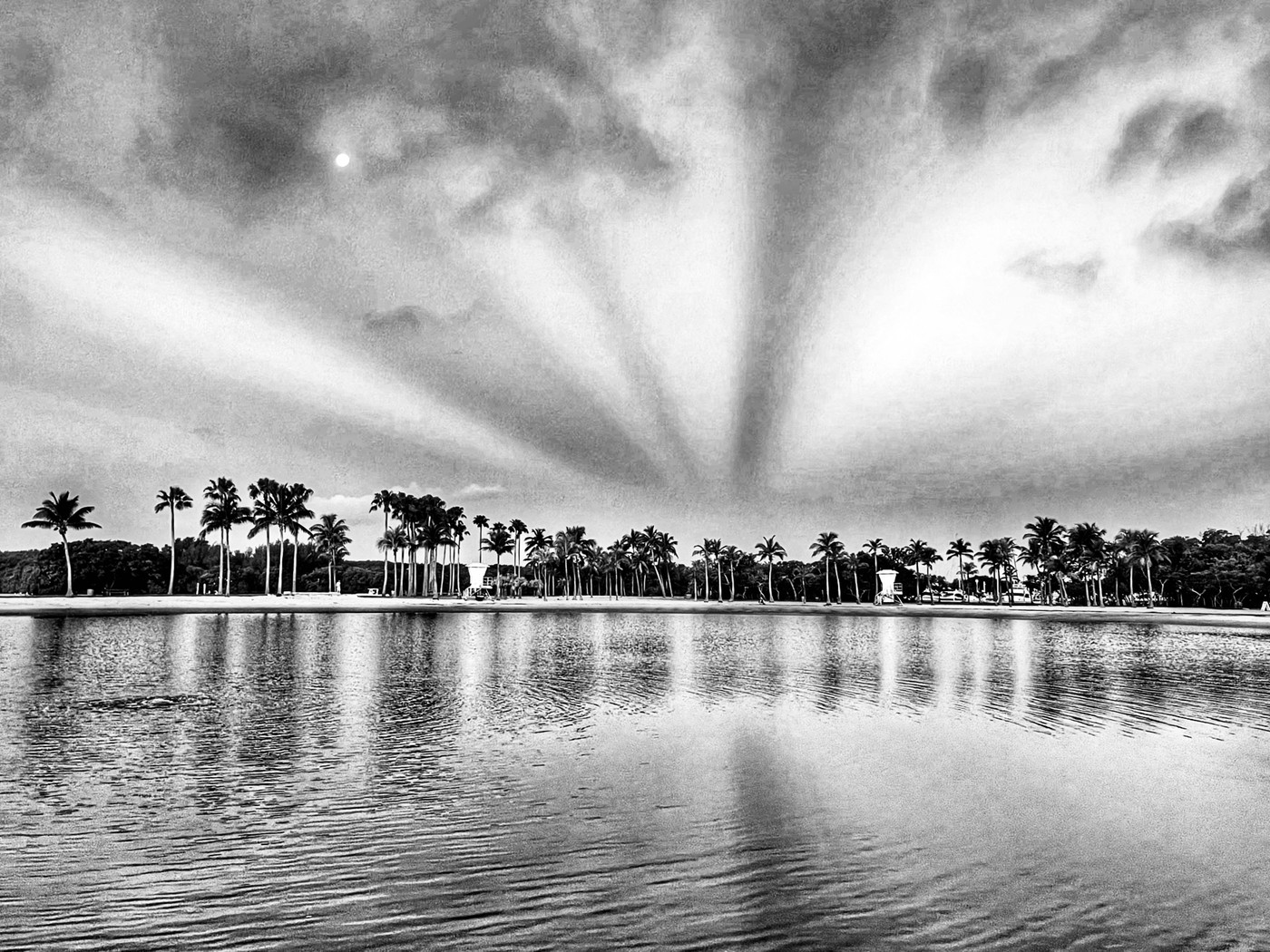 Collection 55 photo by Haydee Romero