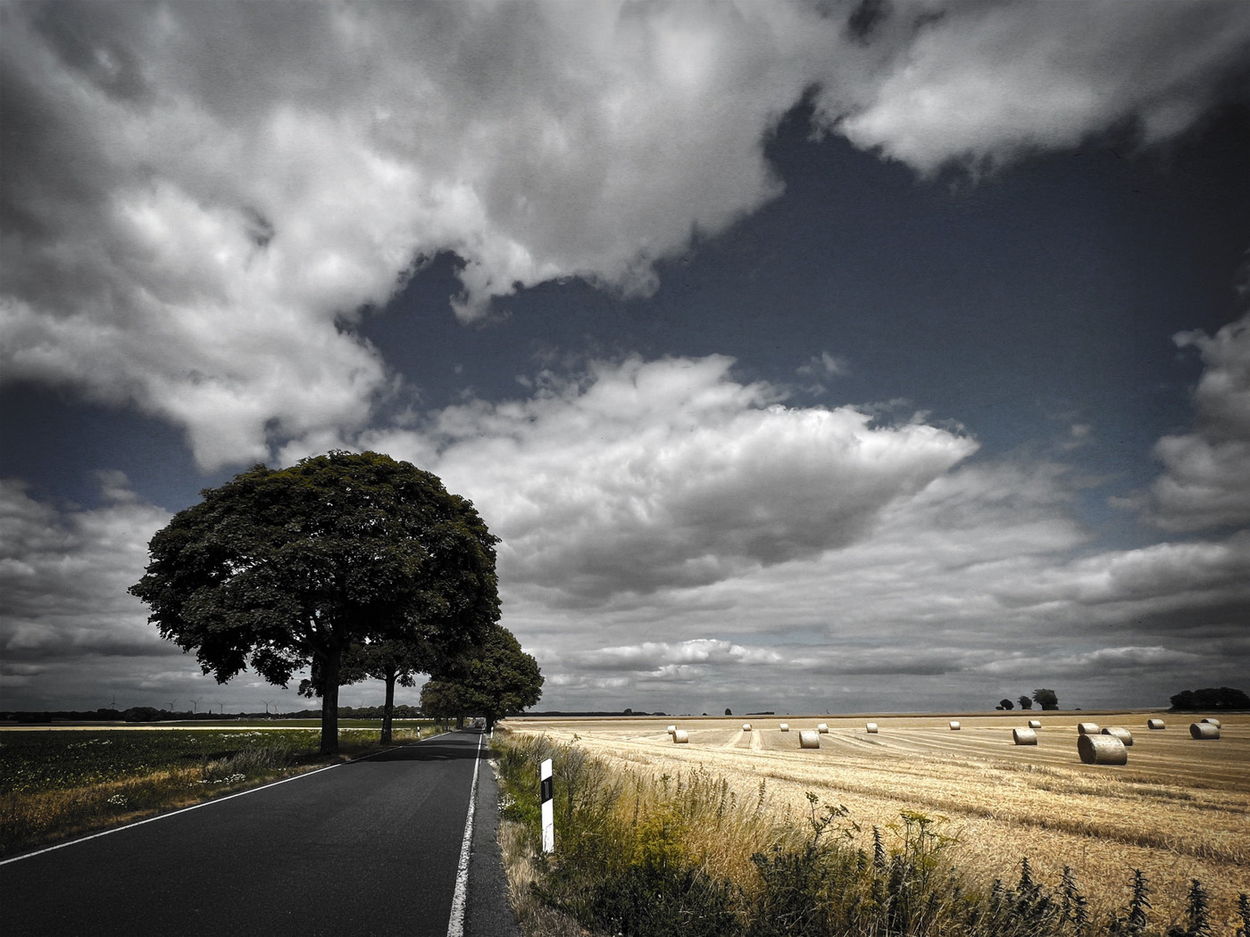Collection 60 photo by Paulo Fernandes