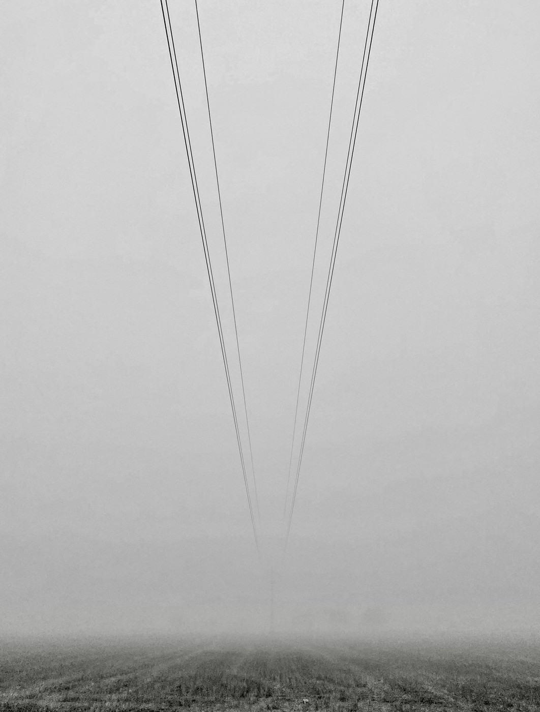 Collection 60 photo by Julián Nieves
