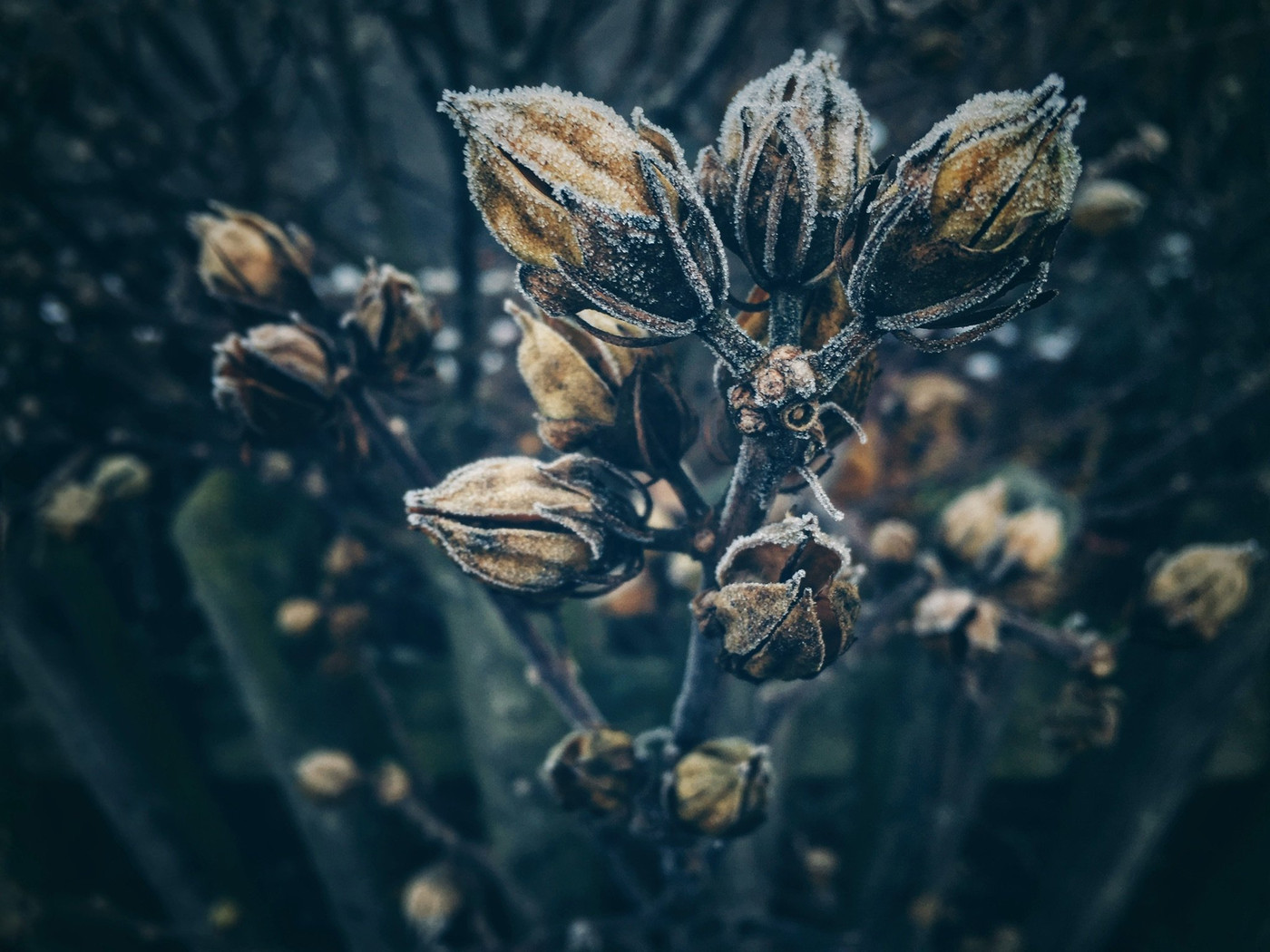 Collection 6 photo by Irina Pasin