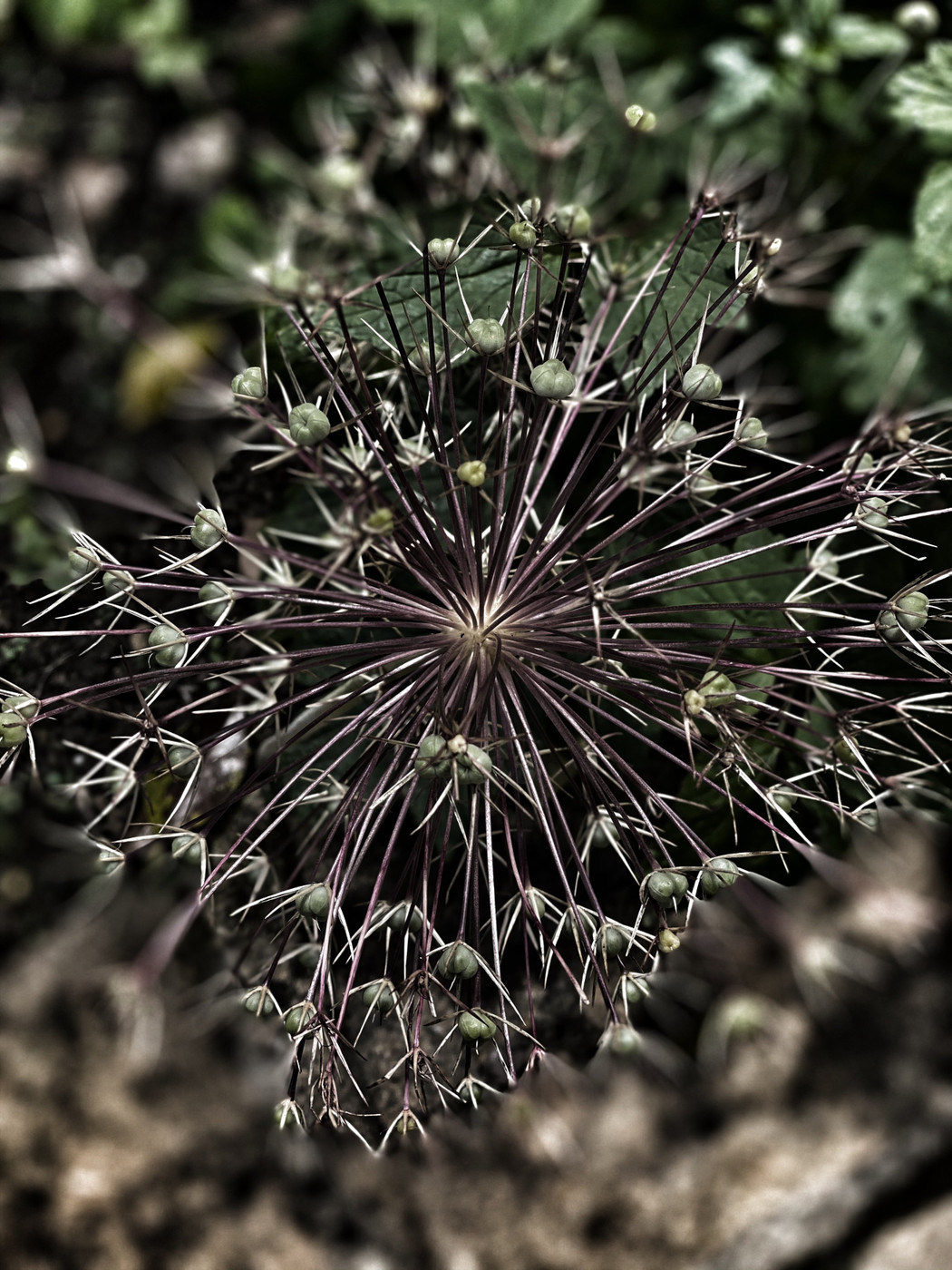 Collection 35 photo by Abbie Asadi