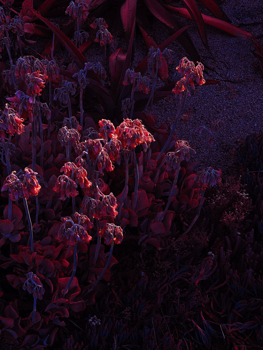 Collection 52 photo by Pavlo Kyryliuk