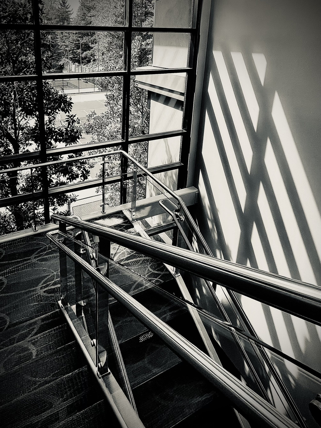 Collection 96 photo by Cam Green