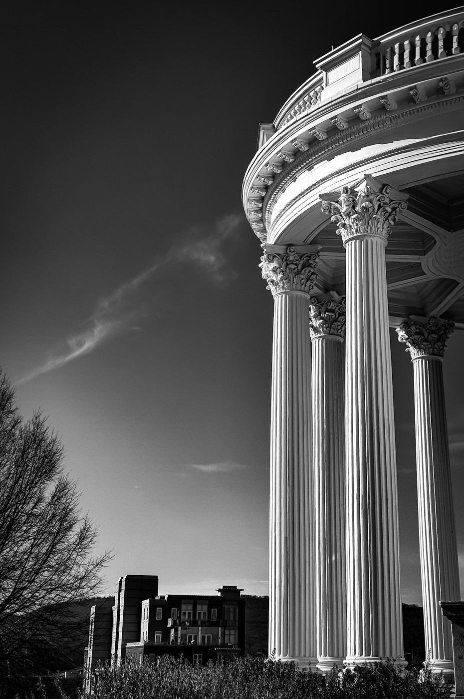 Collection 101 photo by Sandi Asplund
