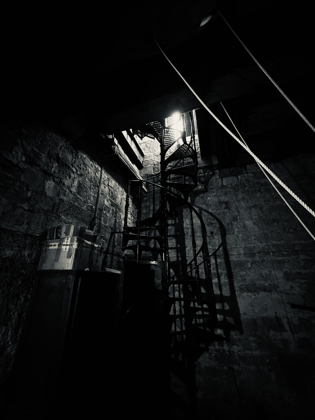 Collection 104 photo by Adam Brown