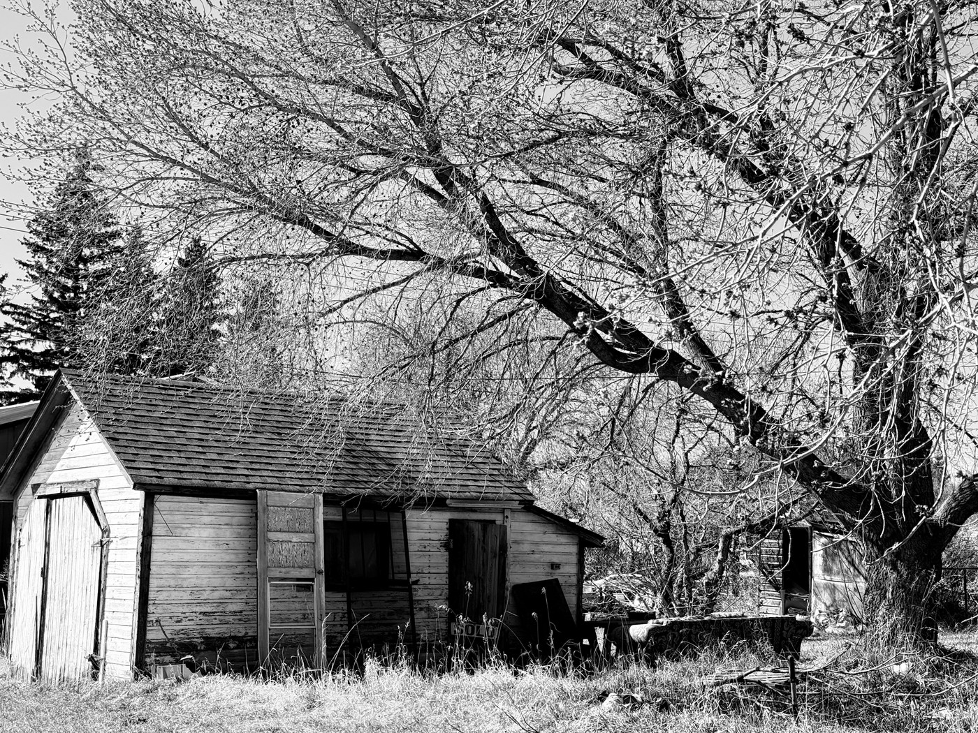 Collection 105 photo by Sheree Zielke
