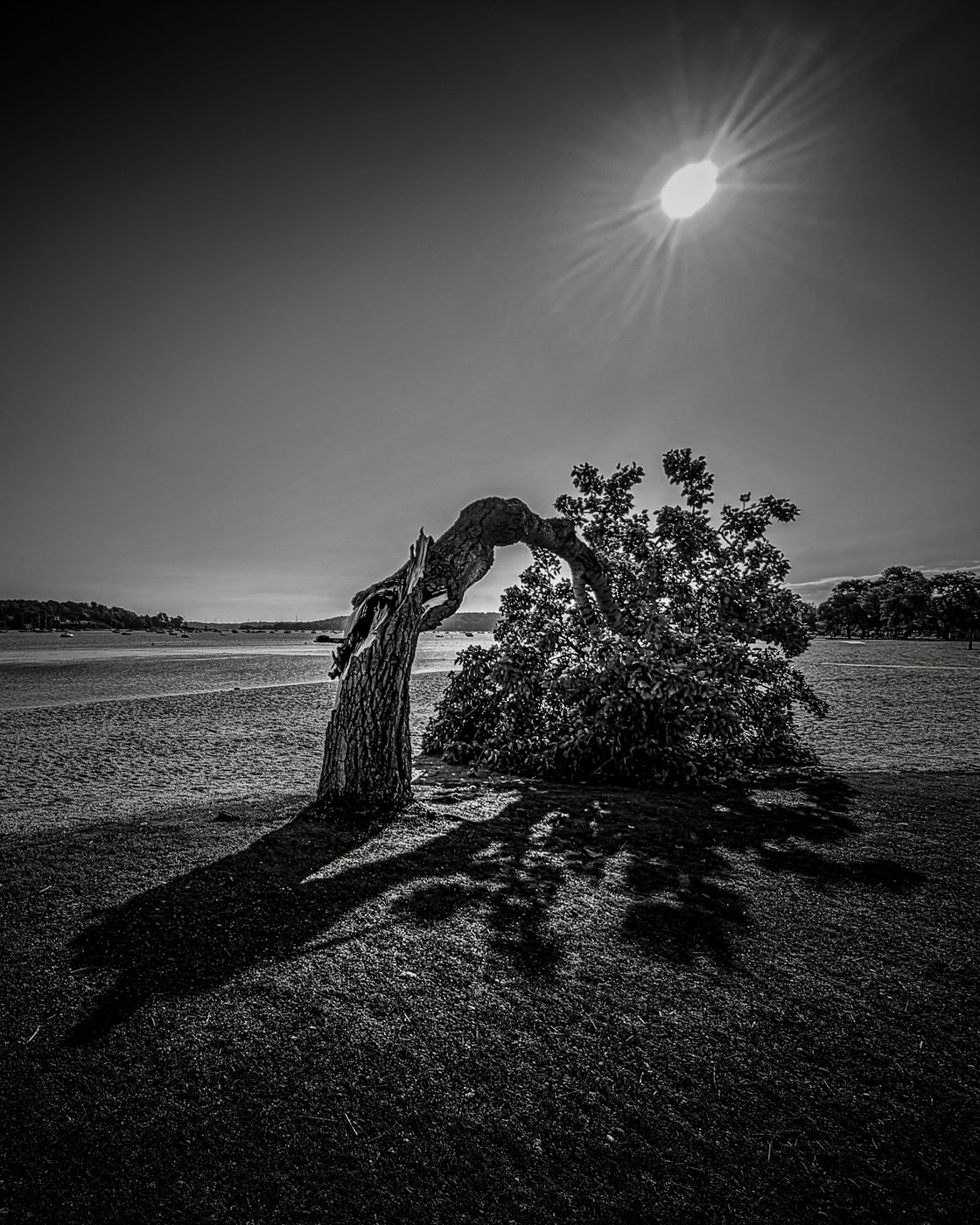 Collection 106 photo by Jennifer Newitt