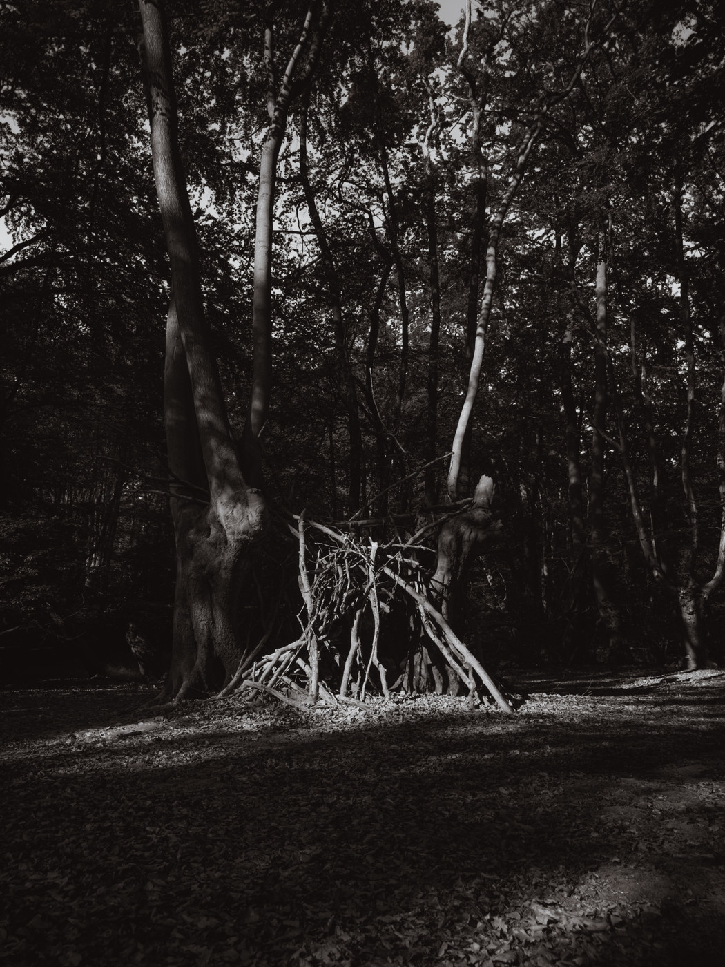 Collection 107 photo by Adam Brown