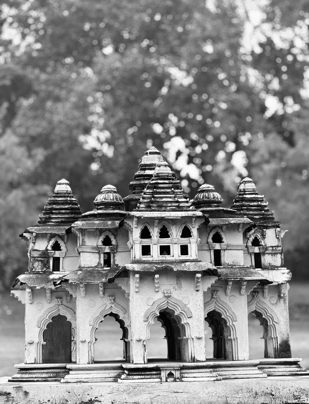 Collection 109 photo by Rajni Khajuria