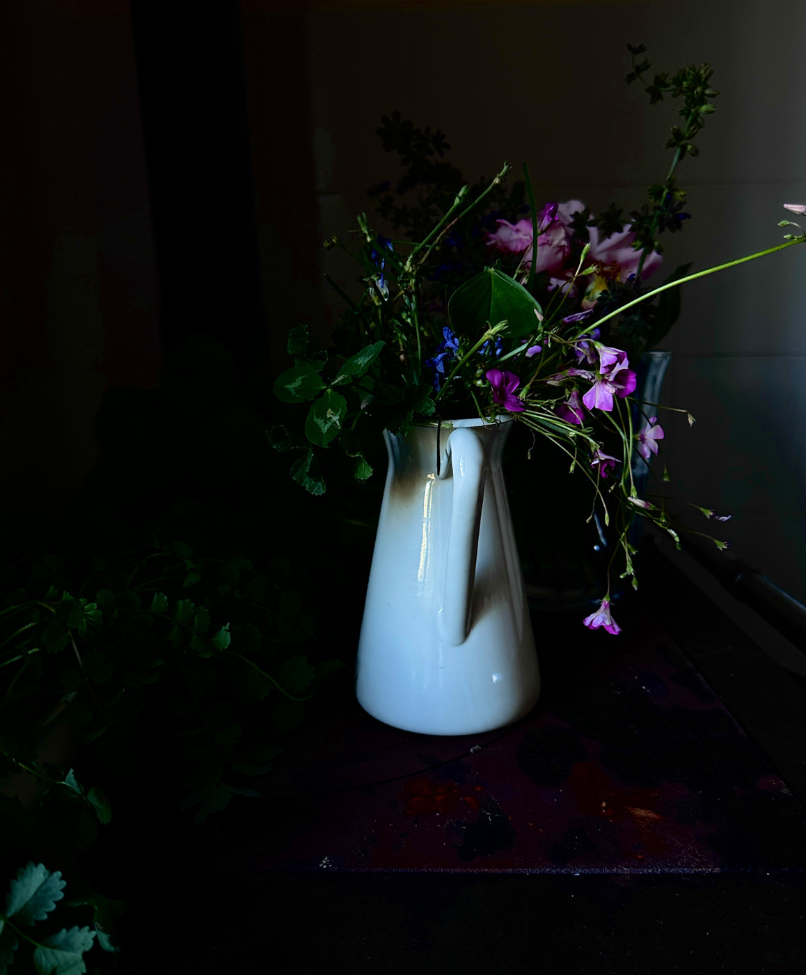 Collection 64 photo by Abbie Asadi