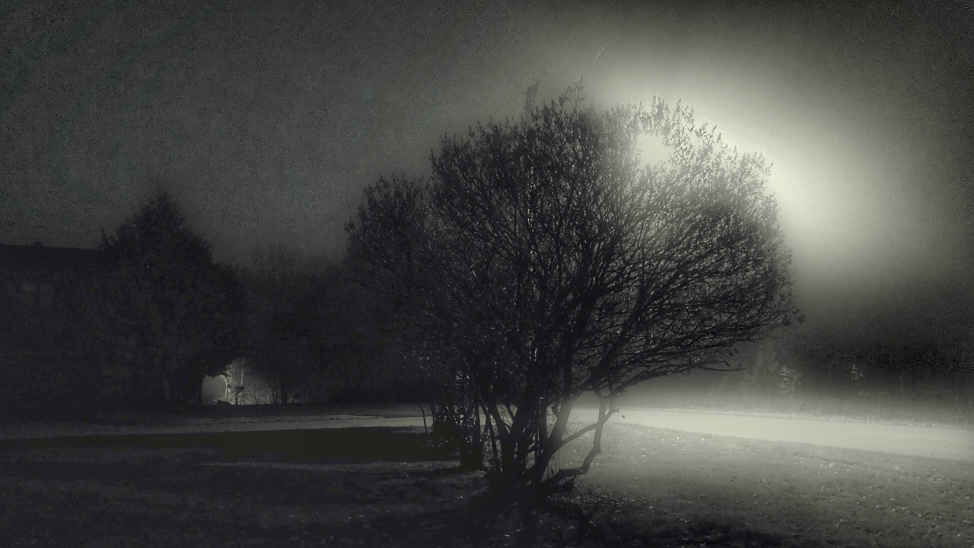 Collection 66 photo by Dianne Mccarthy