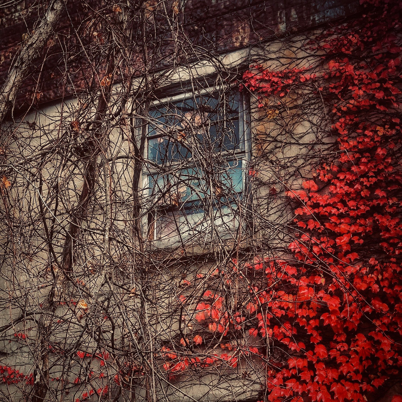 Collection 69 photo by Dianne Mccarthy