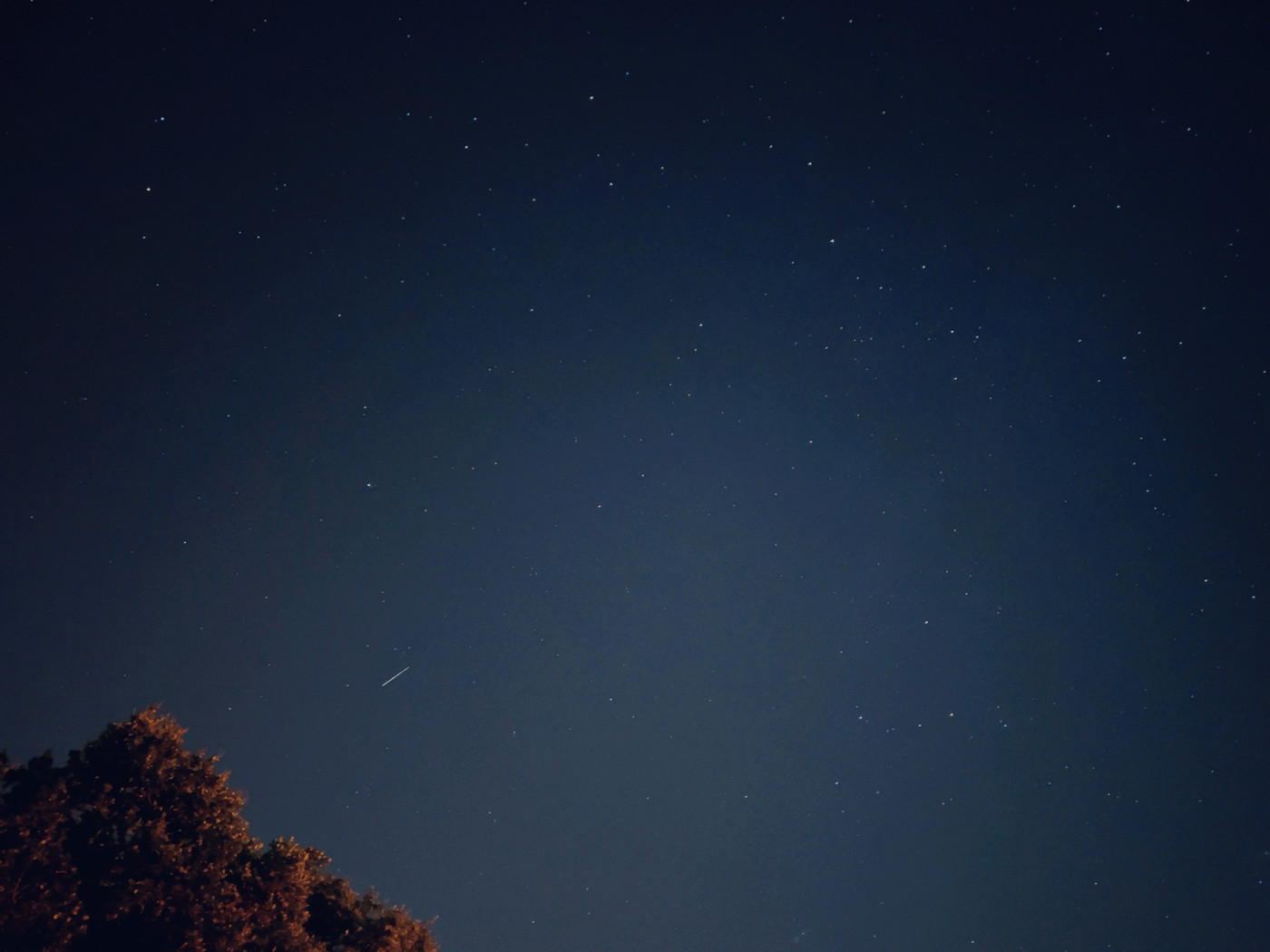 Collection 72 photo by Lotje Pulles