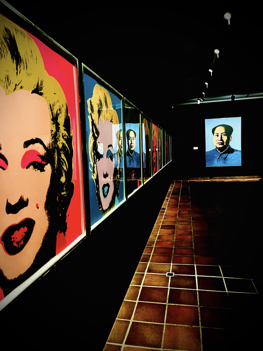 Collection 79 photo by Cam Green