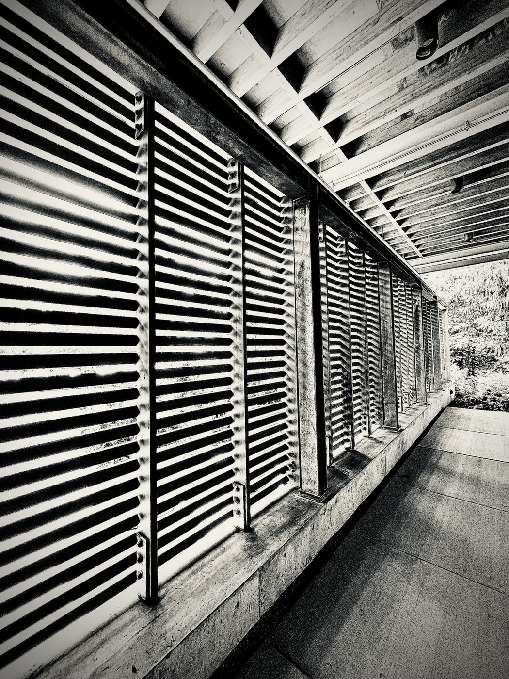 Collection 82 photo by Cam Green