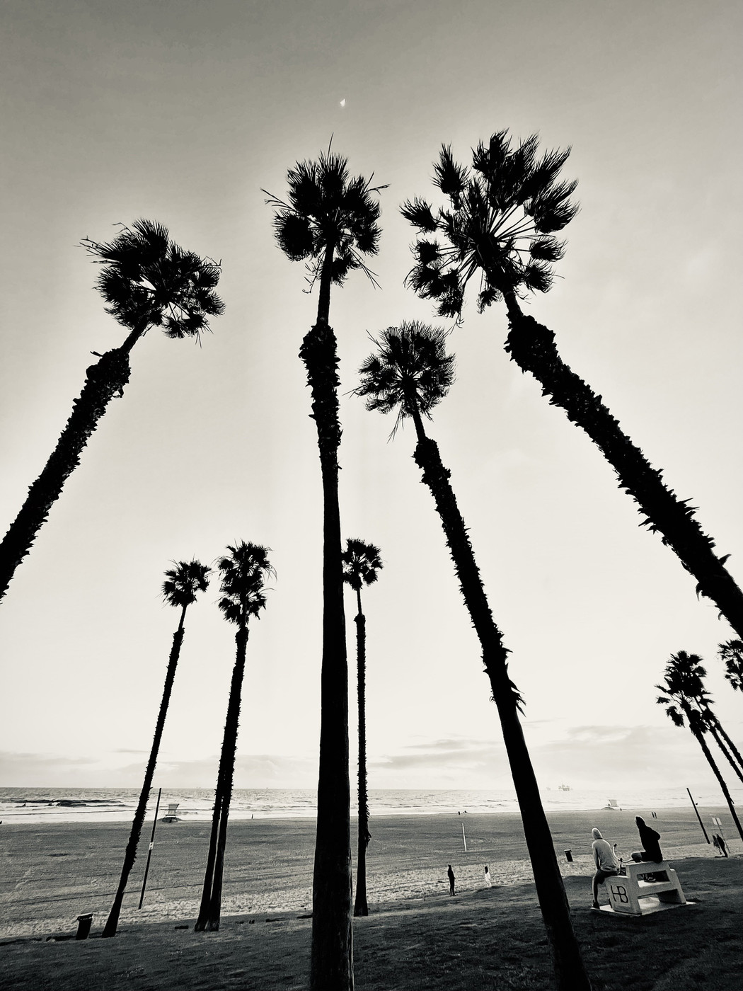 Collection 82 photo by Cam Green