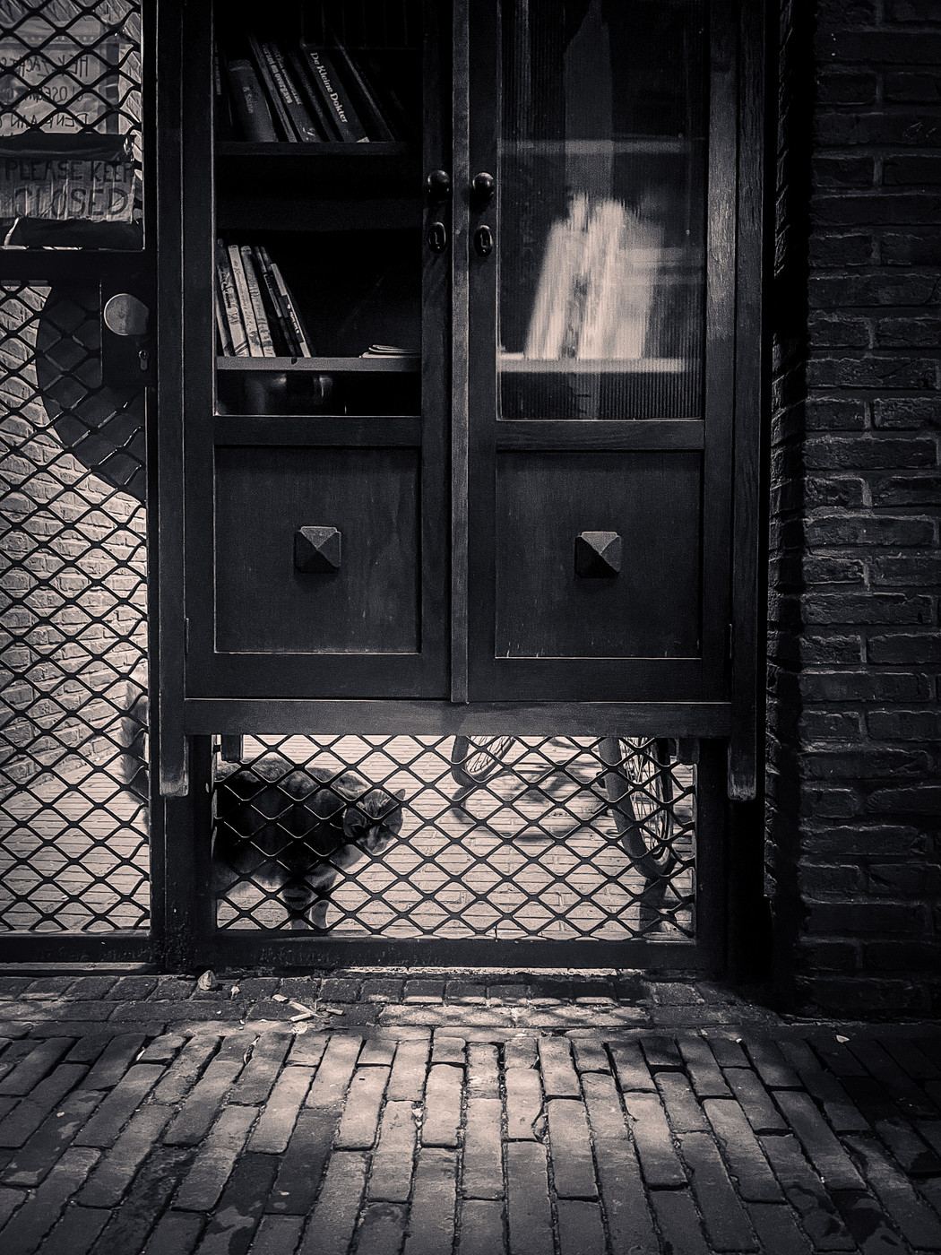 Collection 83 photo by Dewi Segers