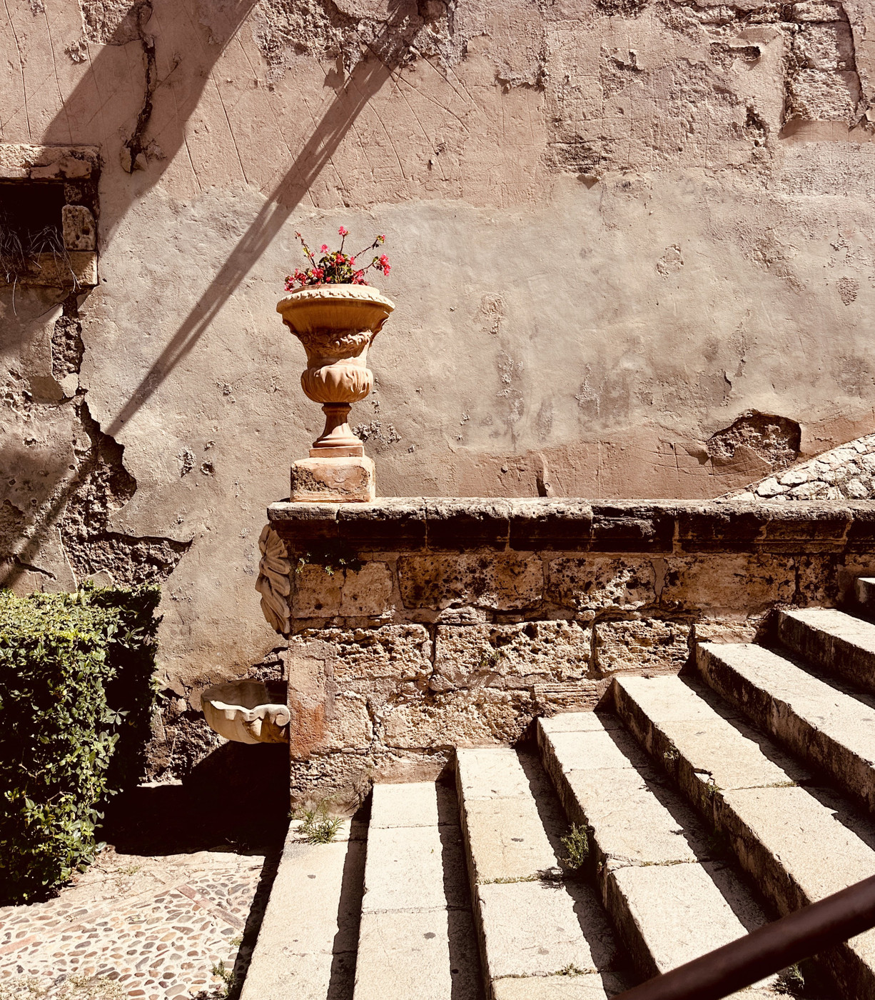 Collection 86 photo by Abbie Asadi