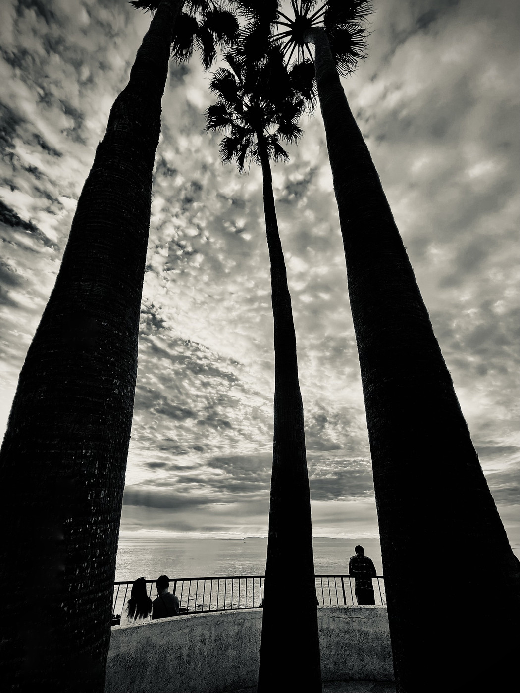 Collection 87 photo by Cam Green