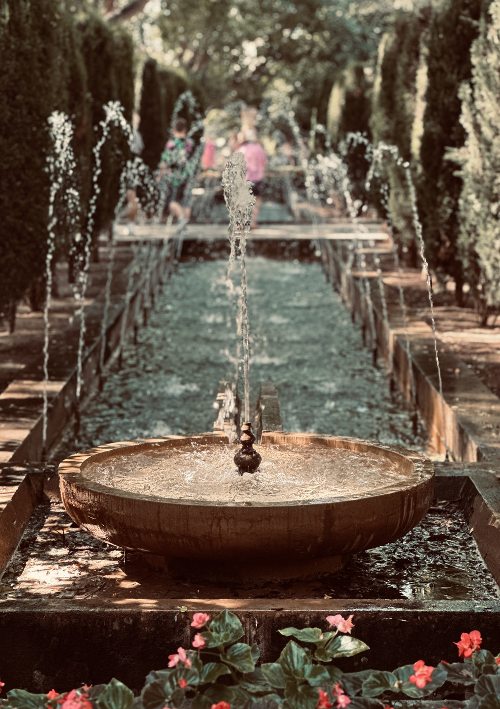 Collection 88 photo by Abbie Asadi