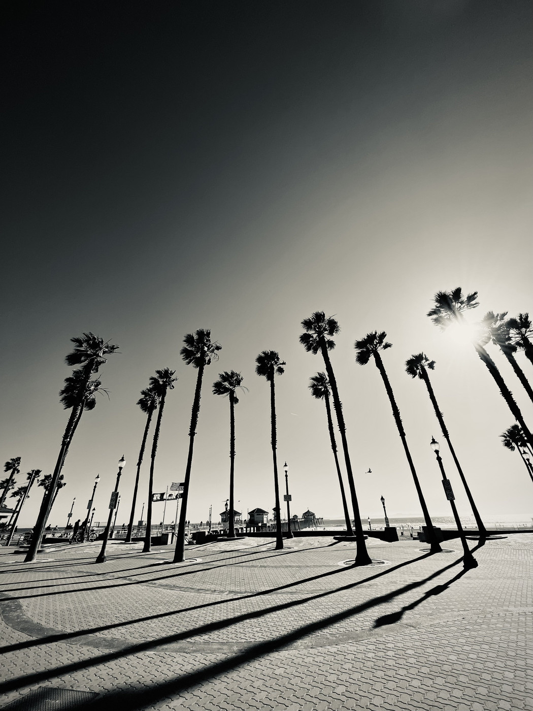 Collection 91 photo by Cam Green
