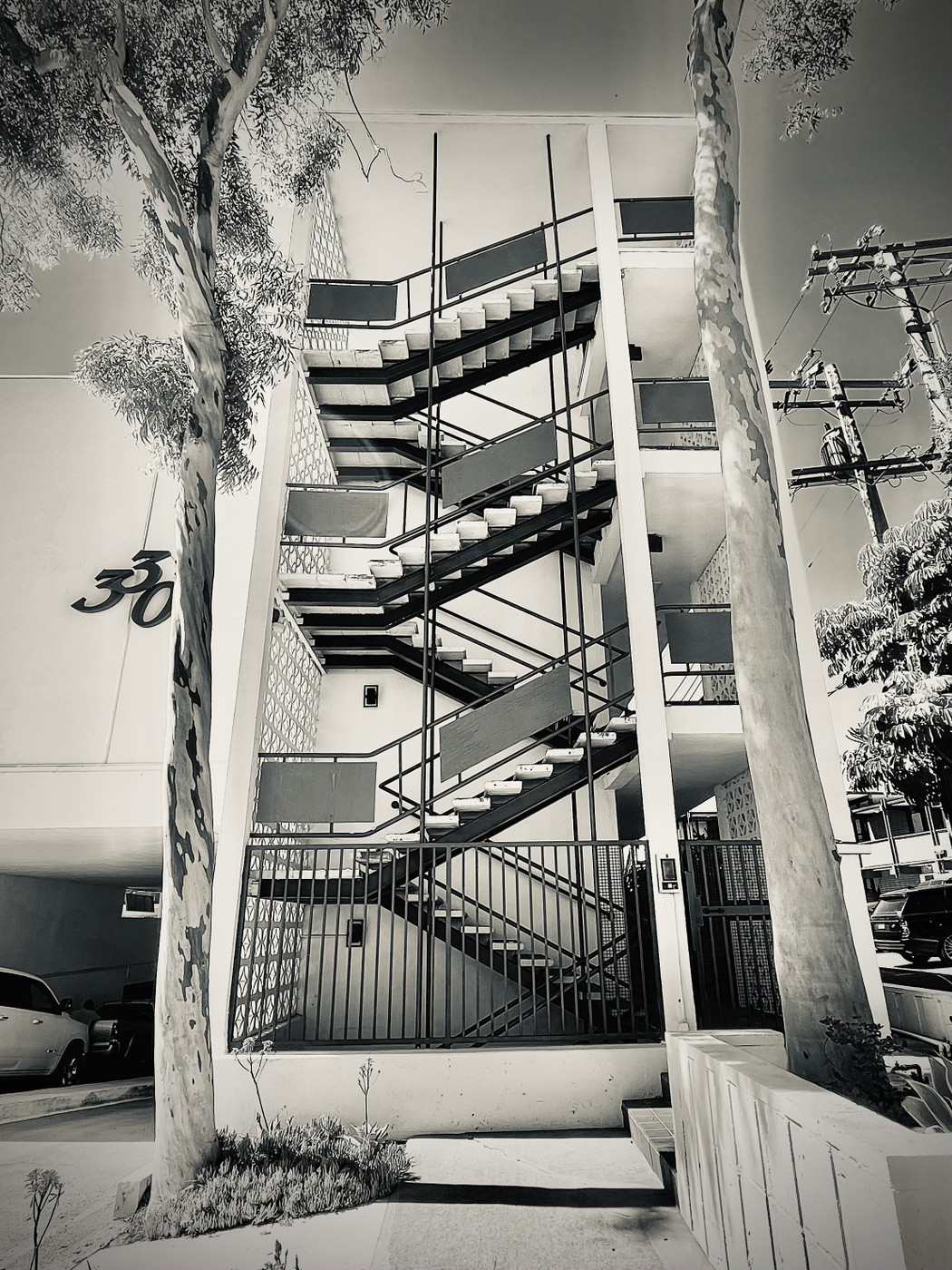 Collection 91 photo by Cam Green