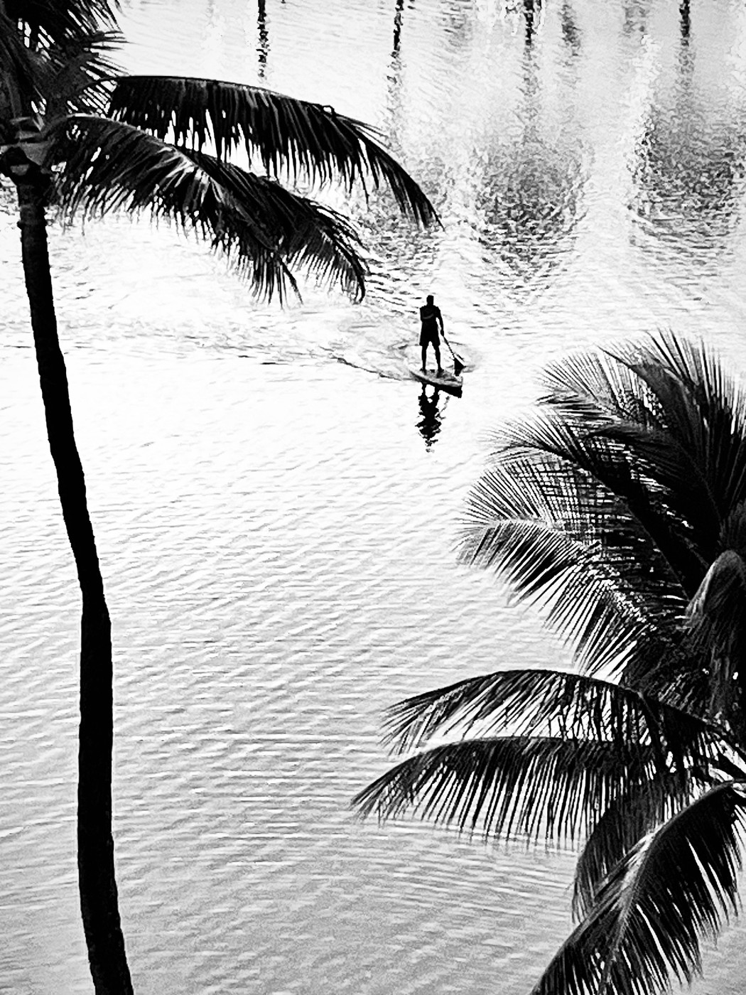 Collection 92 photo by Cam Green