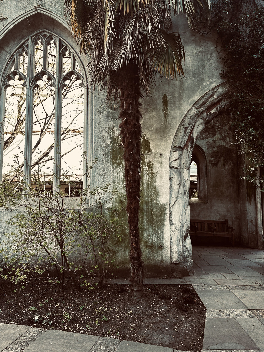 Collection 93 photo by Abbie Asadi