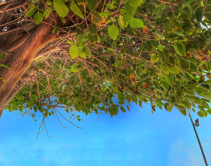 Collection 57 photo by Naveen Aggarwal