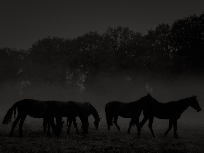 Collection 83 photo by Dewi Segers