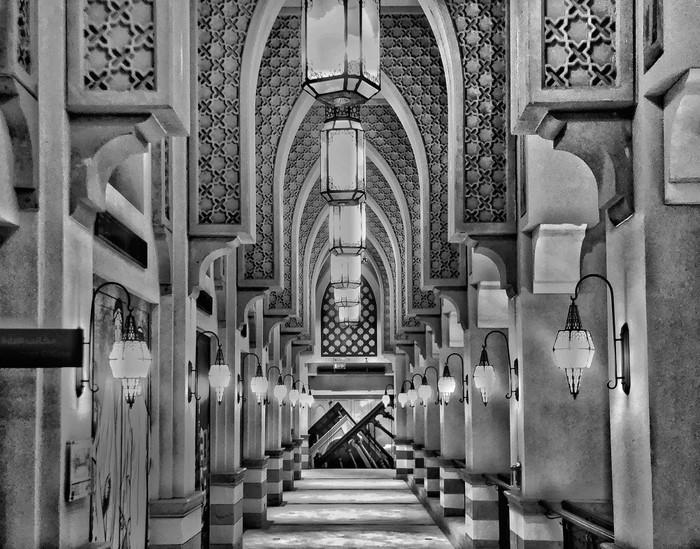 Collection 34 photo by Naveen Aggarwal