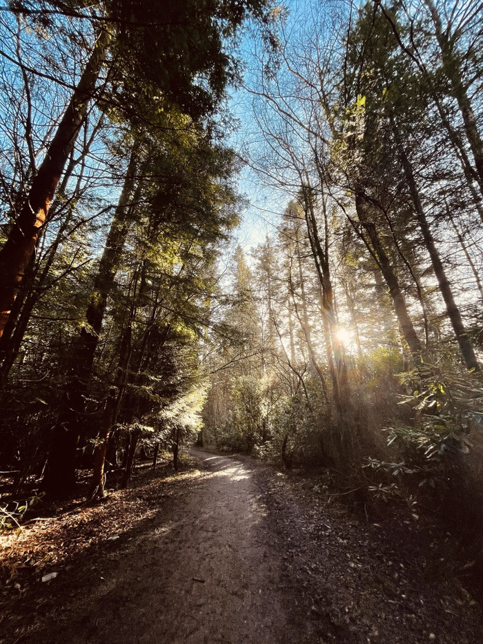 Collection 54 photo by Abbie Asadi