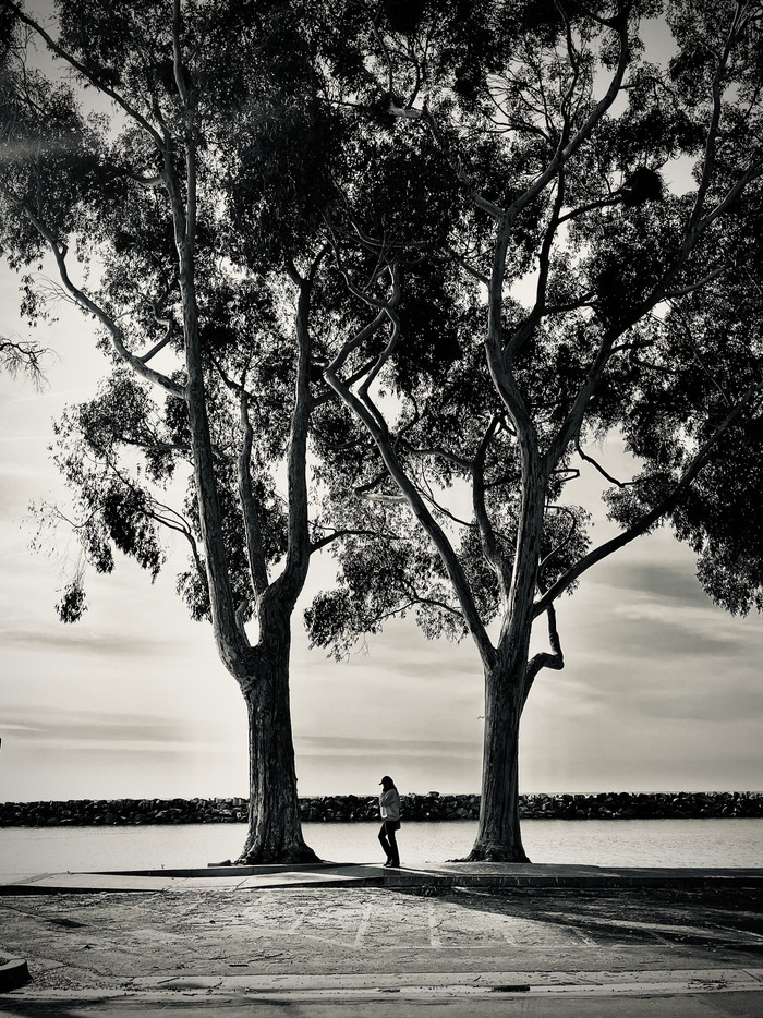 Collection 87 photo by Cam Green