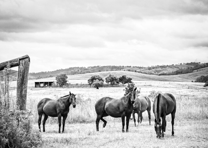 Collection 86 photo by Leonie Mccouat