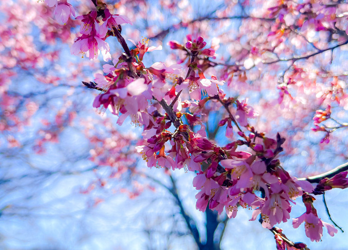 Collection 91 photo by Sandi Asplund