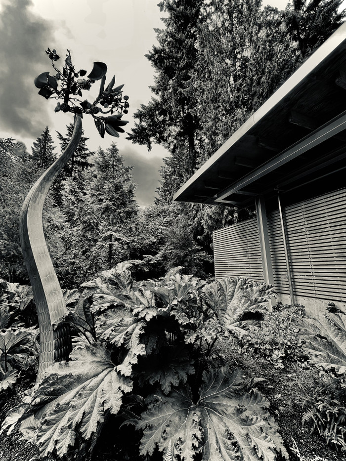 Collection 82 photo by Cam Green